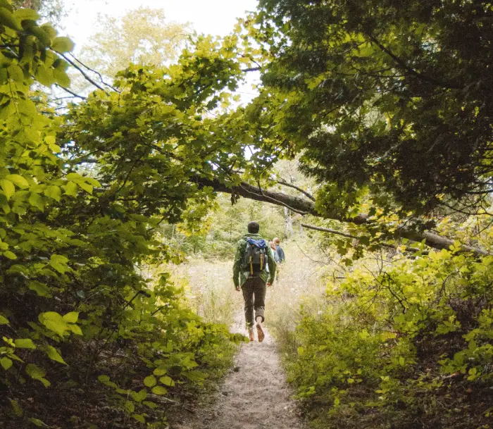 Man loopt in het bos nabij Oostvoorne